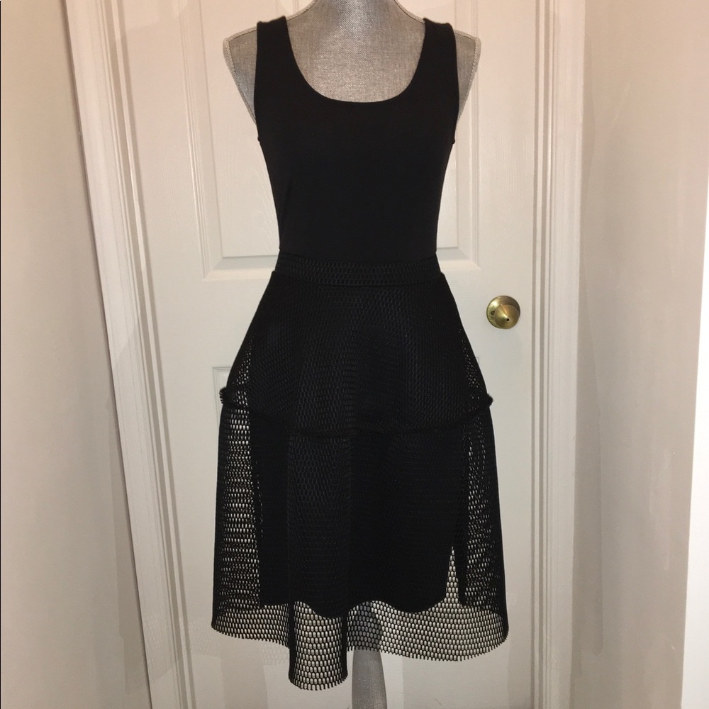 Kiind Of Black Mesh Dress